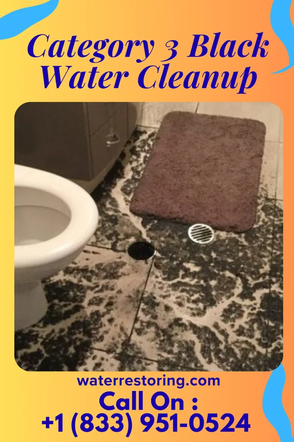 Category 3 Black Water Cleanup in Hi-Nella, NJ