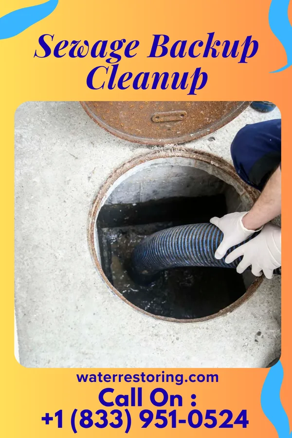 Sewage Backup Cleanup in Hi-Nella, NJ