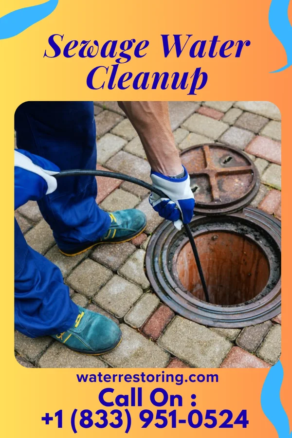 Sewage Water Cleanup in Hi-Nella, NJ