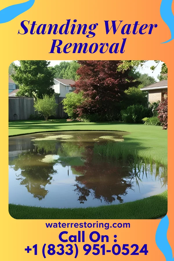 Standing Water Removal in Hi-Nella, NJ